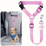 Dog Seat Belt