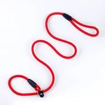 Dog Training Leash P Leash