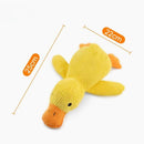 Cat, Dog Toys for Aggressive Chewers