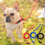 Dog Training Leash P Leash