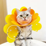 Pet Protective Collar Dog