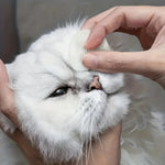 Pet Eye Cleaning Wipes