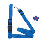 Dog Seat Belt