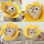 Pet Protective Collar Dog