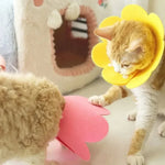 Pet Protective Collar Dog