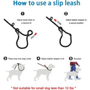 Dog Training Leash P Leash