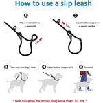 Dog Training Leash P Leash