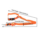 Dog Seat Belt