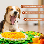 Snuffle Mat for Dogs