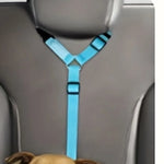 Dog Seat Belt