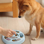 Dog Food Hiding Bowl