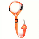 Dog Seat Belt