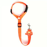 Dog Seat Belt