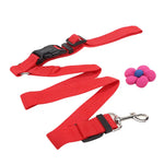 Dog Seat Belt