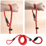 Dog Training Leash P Leash