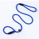 Dog Training Leash P Leash