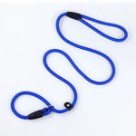 Dog Training Leash P Leash