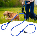Dog Training Leash P Leash