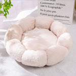 Pet Bed Orthopedic